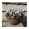 Flash Sale ⌛ Viola 'Lavender Petite' | 30cm Rattan Hanging Basket 🌟