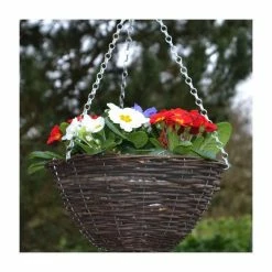 Coupon 🎉 30cm Pre-Planted Hanging Basket | Primula 'Red White and Blue' Mix 🌟